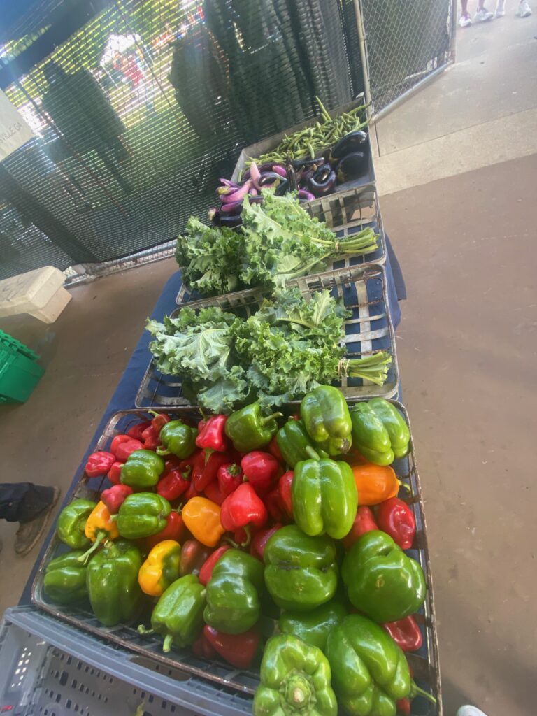 Vegetables from a local farm laid out at the farmer's market